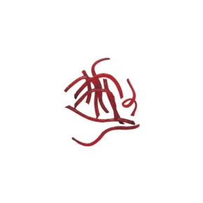 Диск-тёрка Robot-Coupe 28059 (5 мм), фото 2