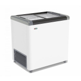 Морозильный ларь Frostor GELLAR FG 250 C, фото 1