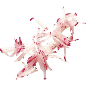 Набор дисков Robot-Coupe 1961, фото 2