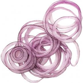 Набор дисков Robot-Coupe 1961, фото 3